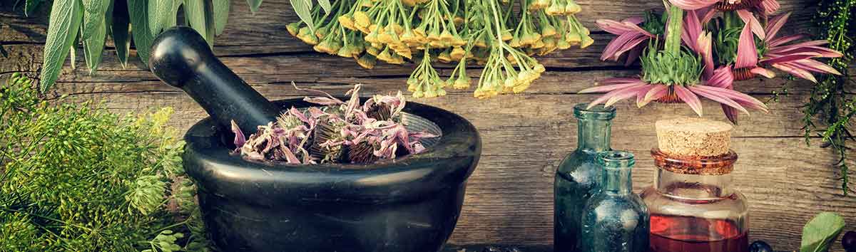 nowledge herbal extracts hero 2x